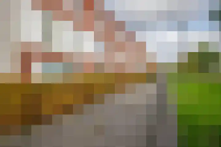 Korfoepad 115 Rotterdam thumbnail 44