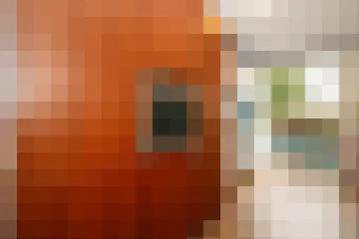 Korfoepad 115 Rotterdam thumbnail 9