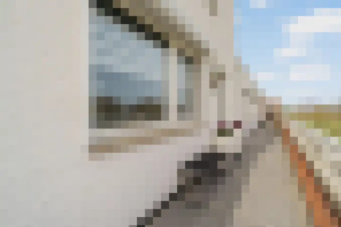 Korfoepad 125 Rotterdam thumbnail 10