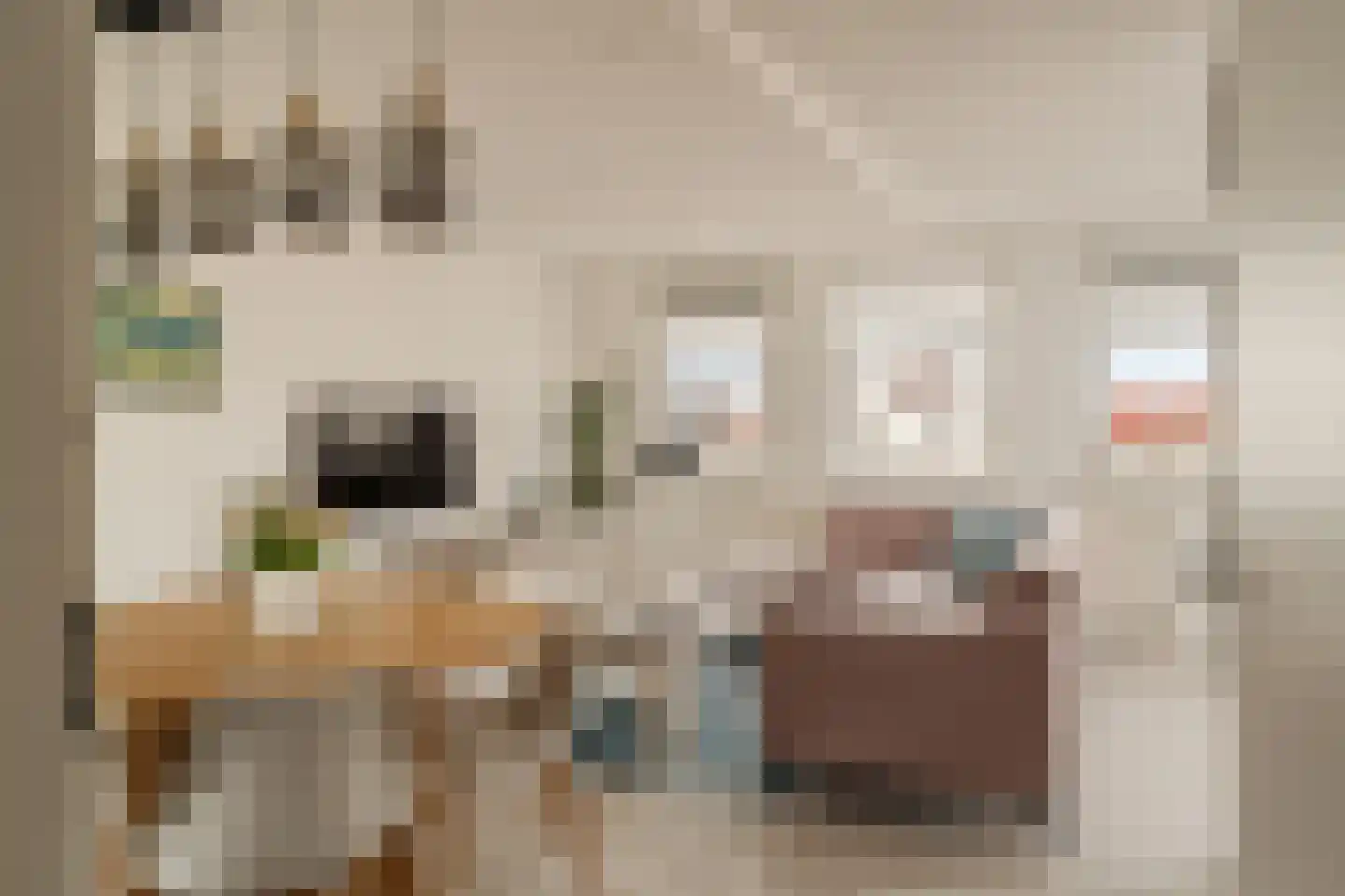 Korfoepad 125 Rotterdam thumbnail 11