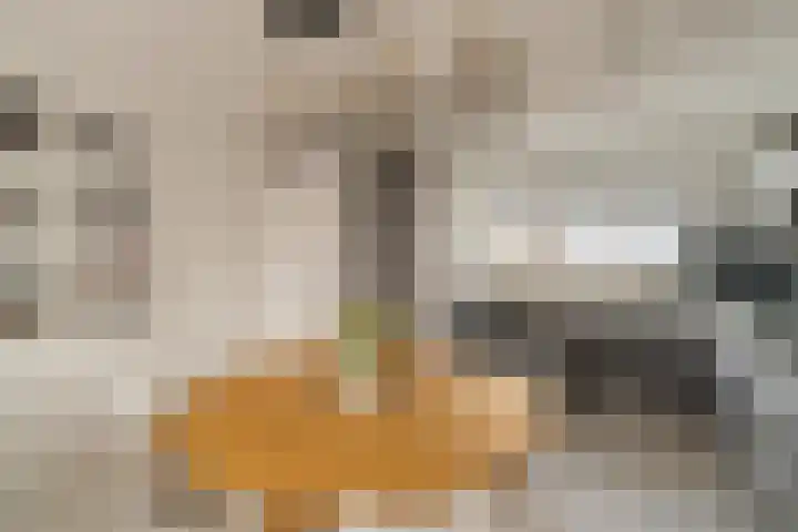 Korfoepad 125 Rotterdam thumbnail 13