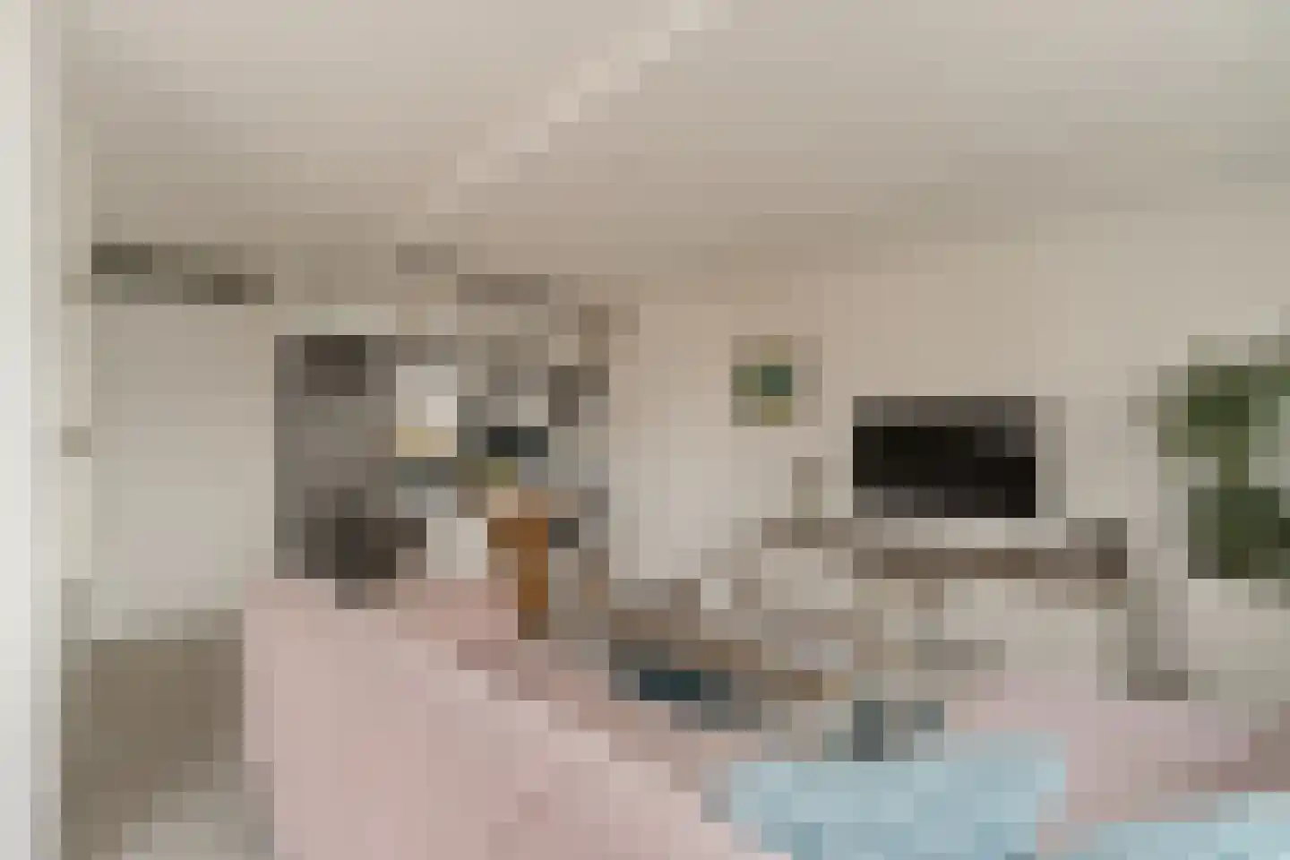Korfoepad 125 Rotterdam thumbnail 13