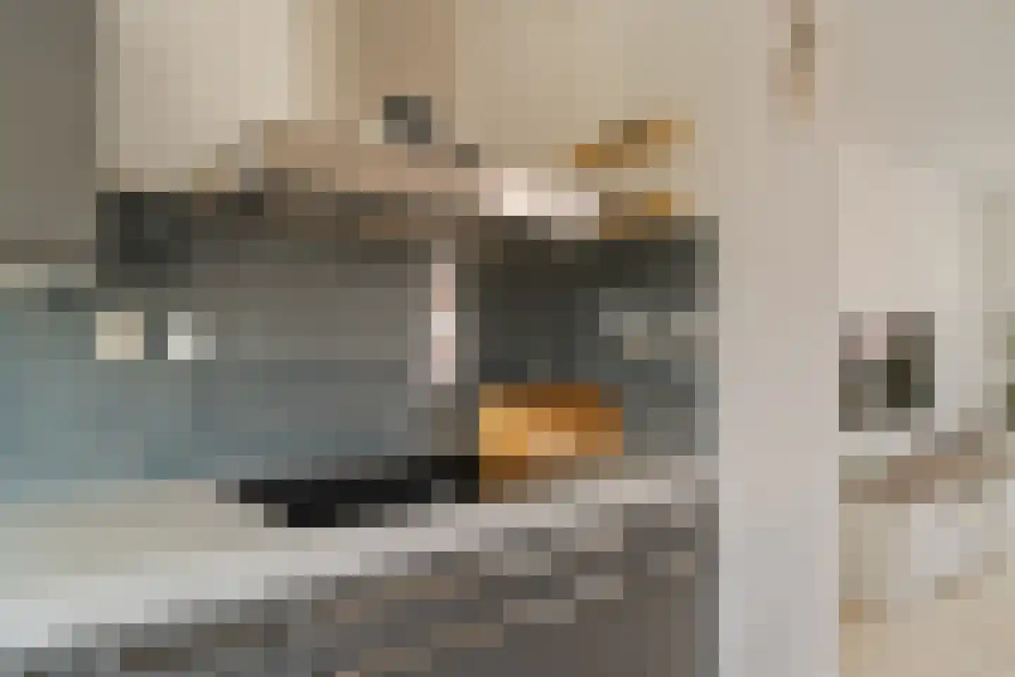 Korfoepad 125 Rotterdam thumbnail 19