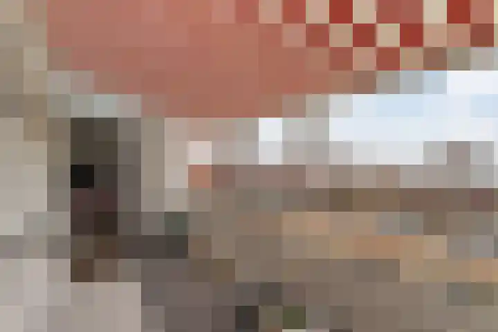 Korfoepad 125 Rotterdam thumbnail 35