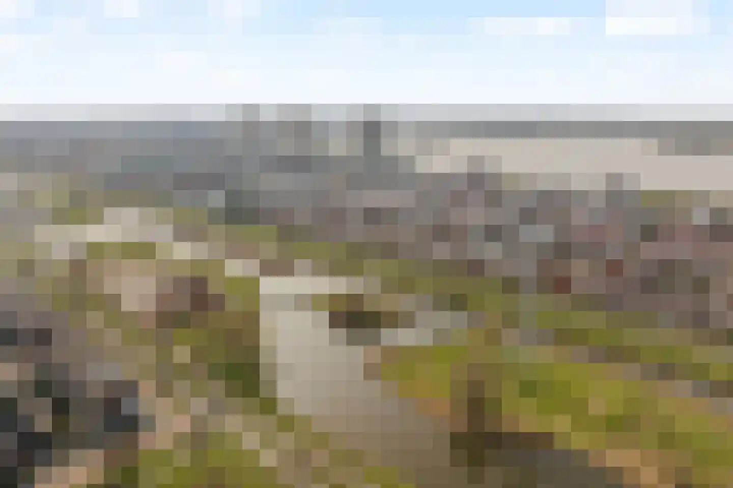 Korfoepad 125 Rotterdam thumbnail 5