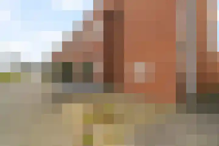 Korfoepad 125 Rotterdam thumbnail 6