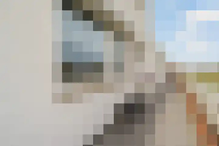 Korfoepad 125 Rotterdam thumbnail 7