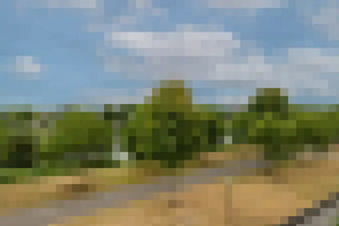Korfoepad 81 Rotterdam thumbnail 36
