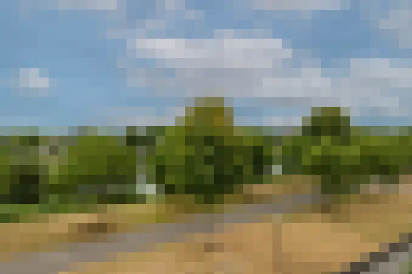 Korfoepad 81 Rotterdam thumbnail 4