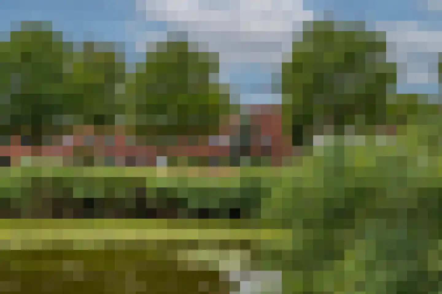 Korfoepad 81 Rotterdam thumbnail 5