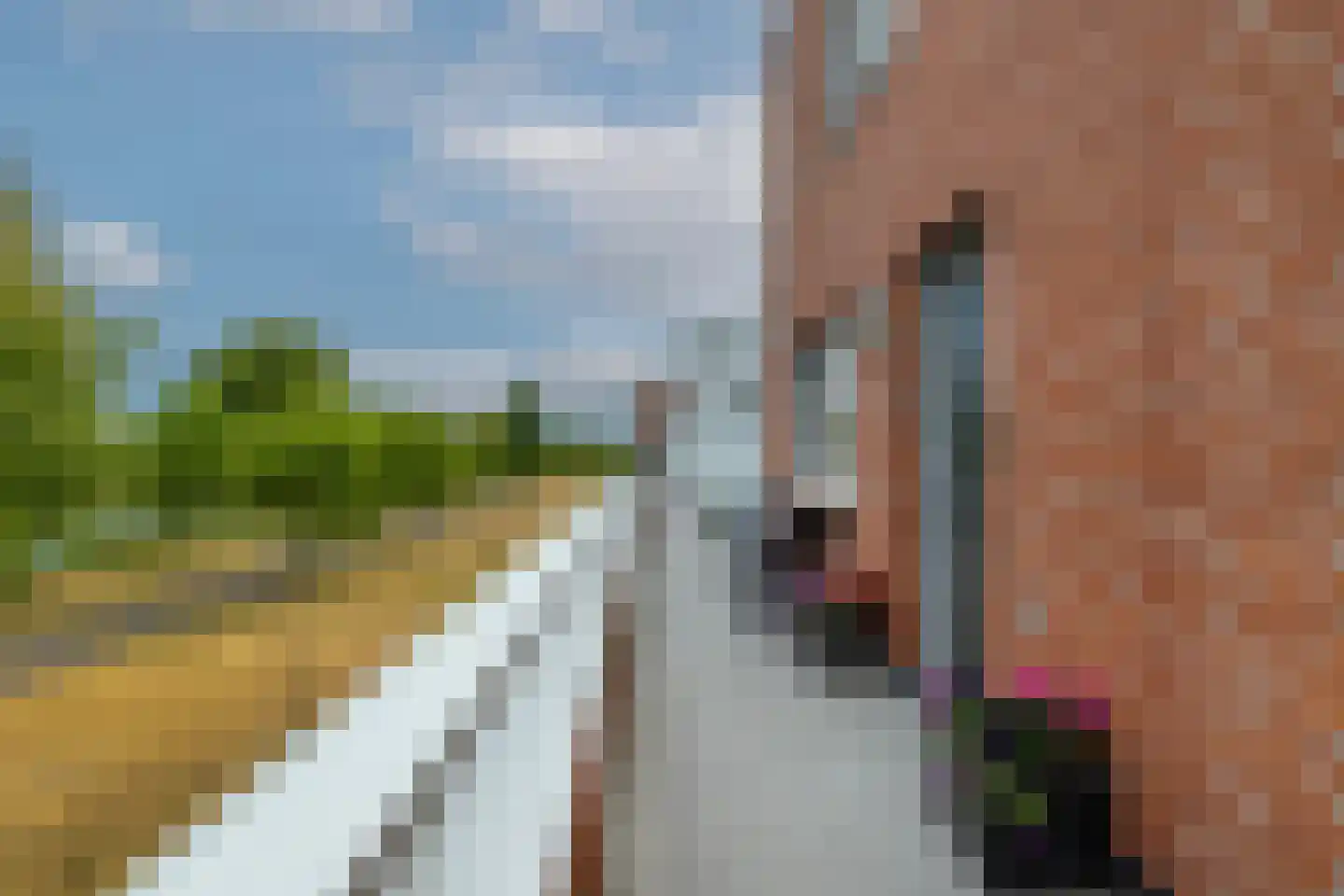 Korfoepad 81 Rotterdam thumbnail 8