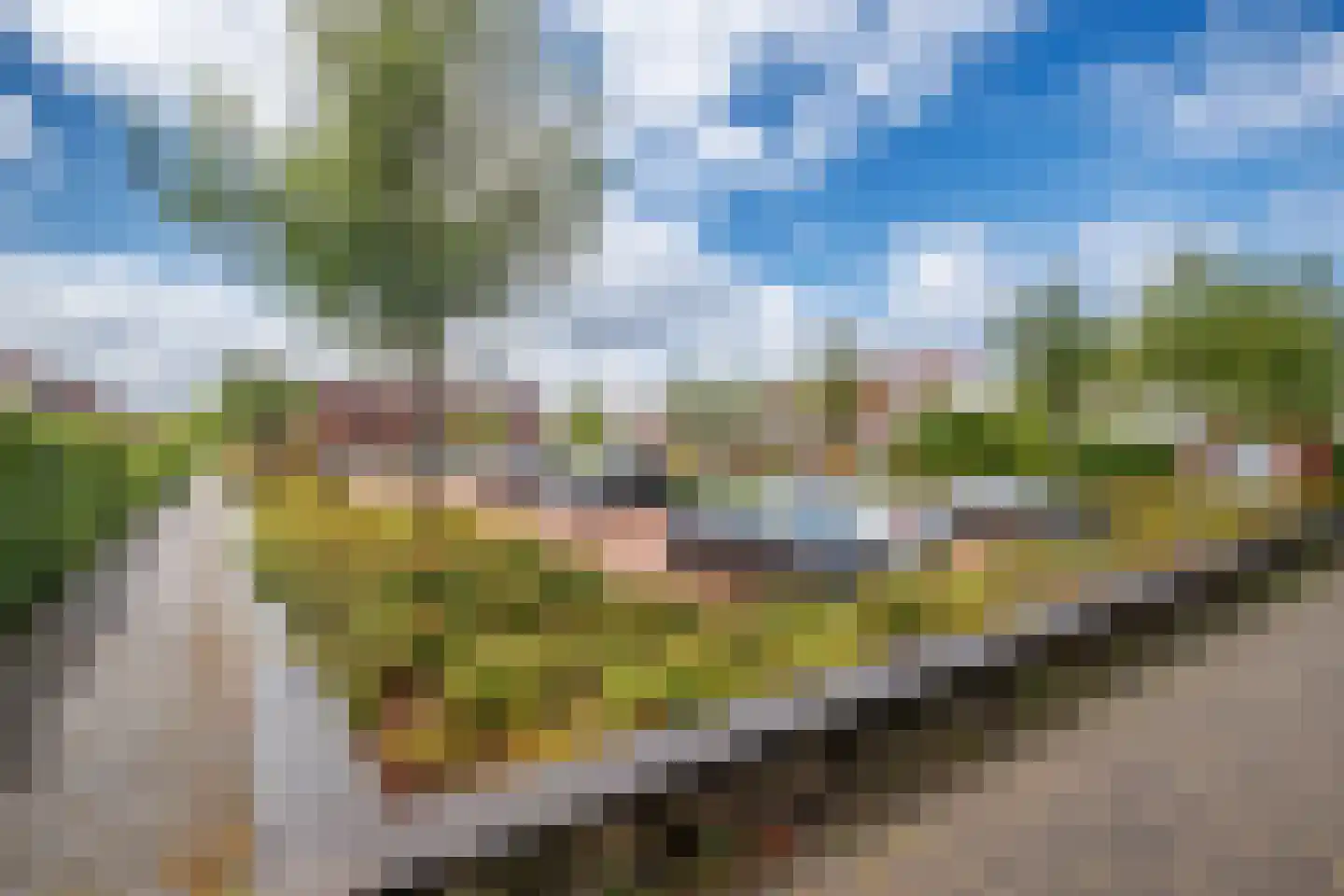 Korfoepad 9 Rotterdam thumbnail 36