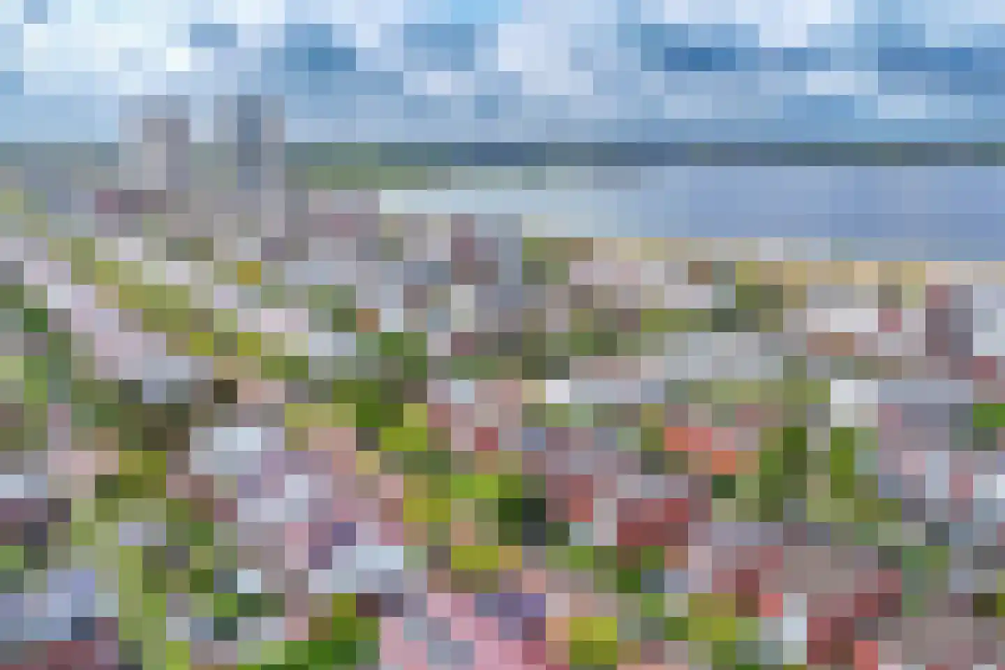 Korfoepad 9 Rotterdam thumbnail 42