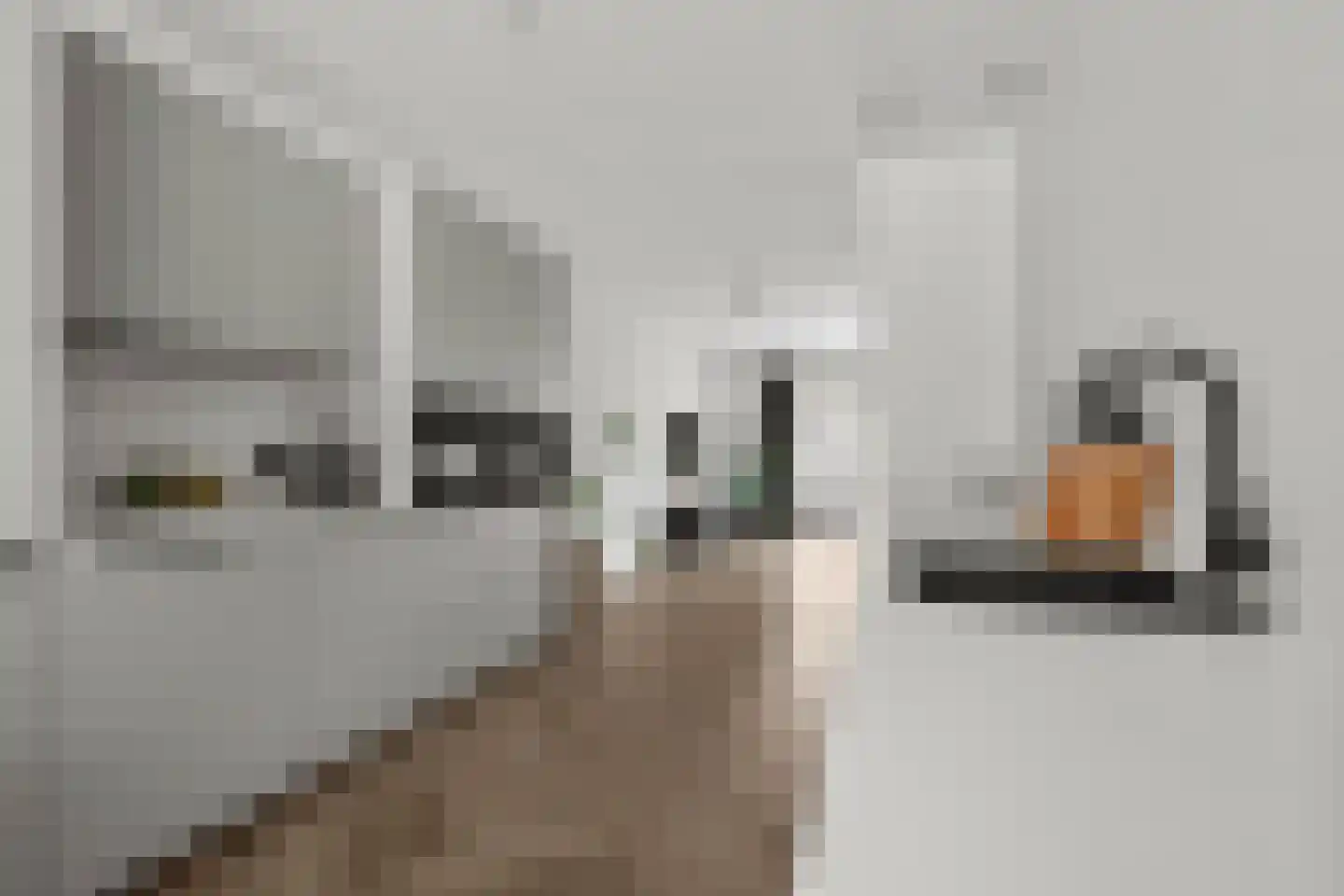 Korfstraat 49 Kudelstaart thumbnail 4