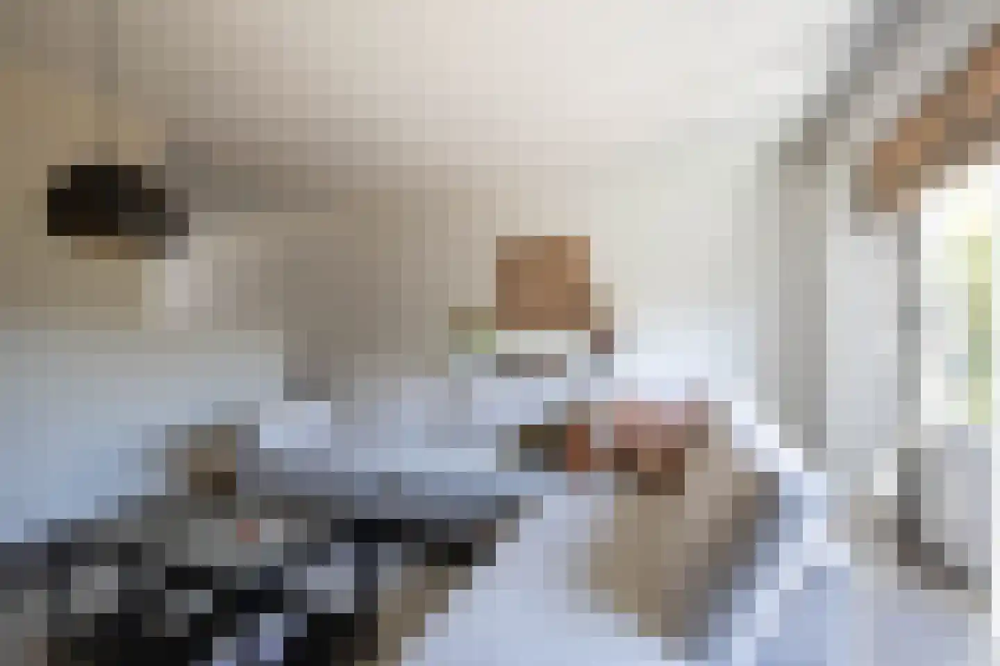 Korfstraat 7 Kudelstaart thumbnail 8