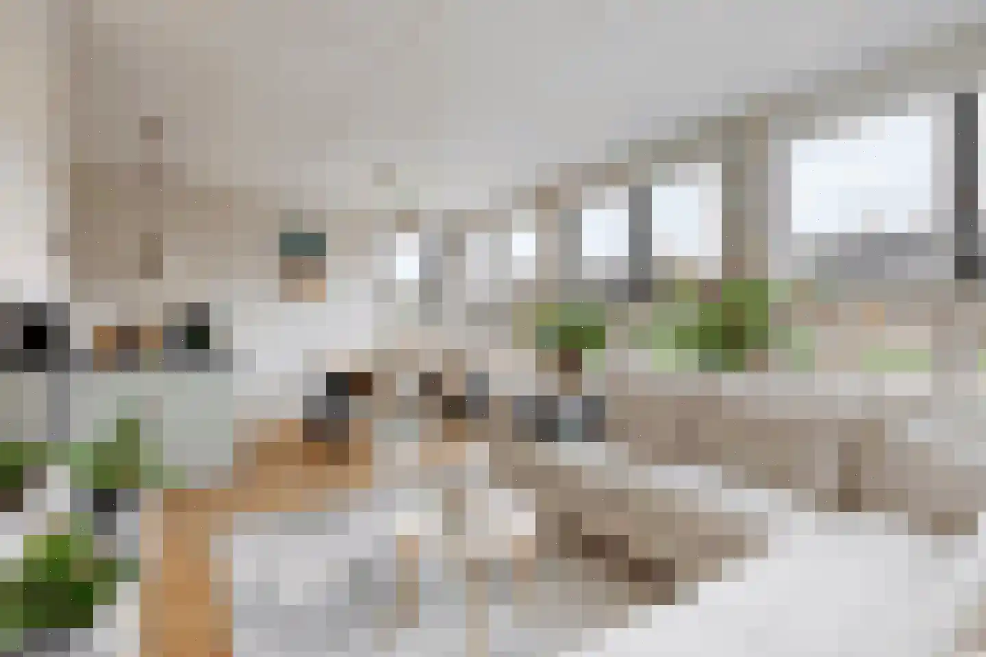Korfstraat 70 Kudelstaart thumbnail 4