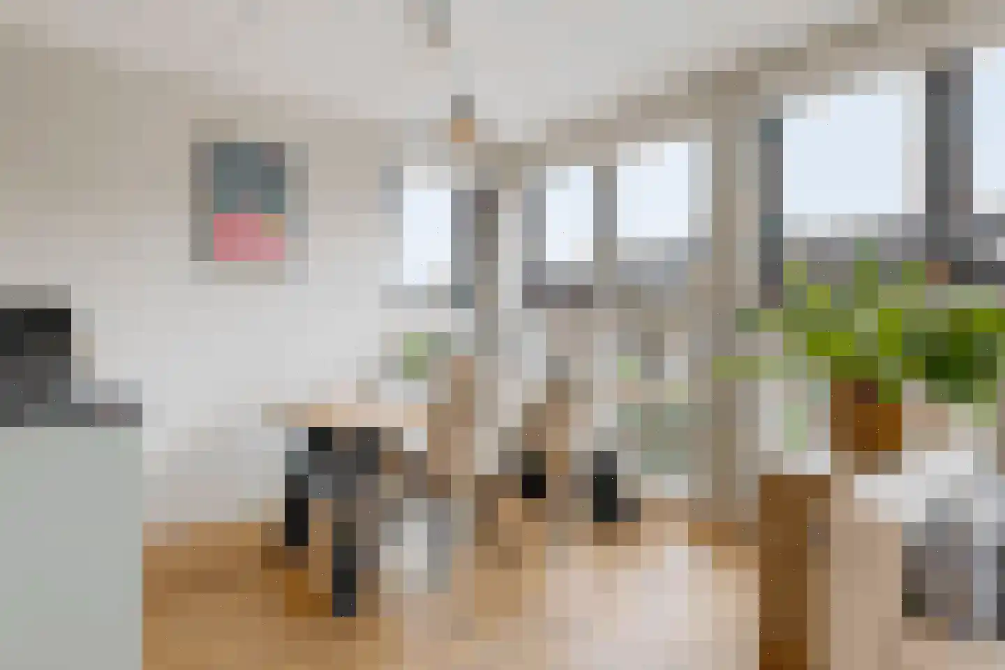 Korfstraat 70 Kudelstaart thumbnail 5