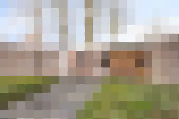 Korfvlechterwei 18 Valkenswaard thumbnail 22