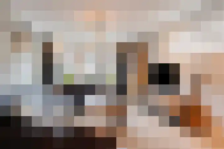 Korfvlechterwei 18 Valkenswaard thumbnail 7