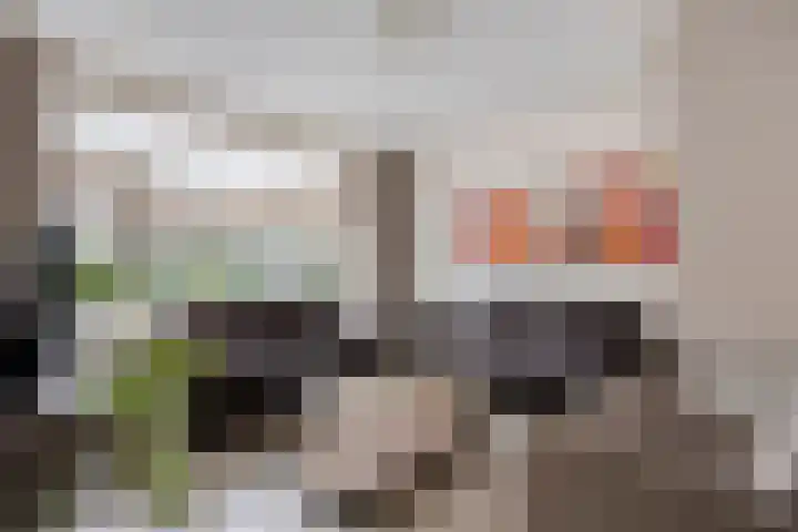 Korfvlechterwei 22 Valkenswaard thumbnail 11
