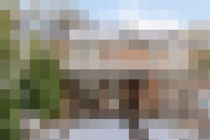 Korfvlechterwei 22 Valkenswaard thumbnail 39