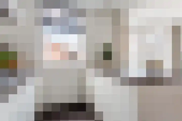Korfvlechterwei 38 Valkenswaard thumbnail 15
