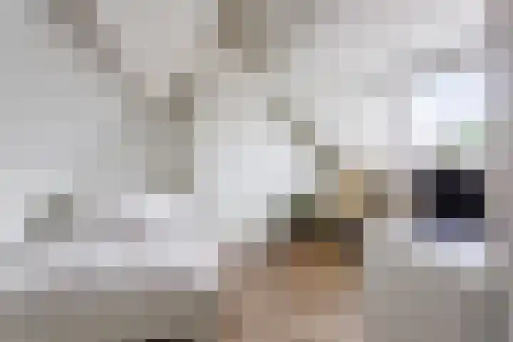 Korfvlechterwei 38 Valkenswaard thumbnail 31