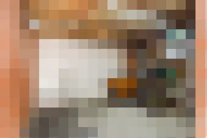 Korfvlechterwei 38 Valkenswaard thumbnail 37
