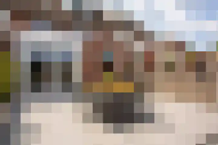 Korfvlechterwei 38 Valkenswaard thumbnail 41