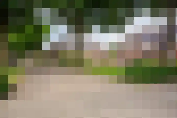 Korfvlechterwei 38 Valkenswaard thumbnail 44