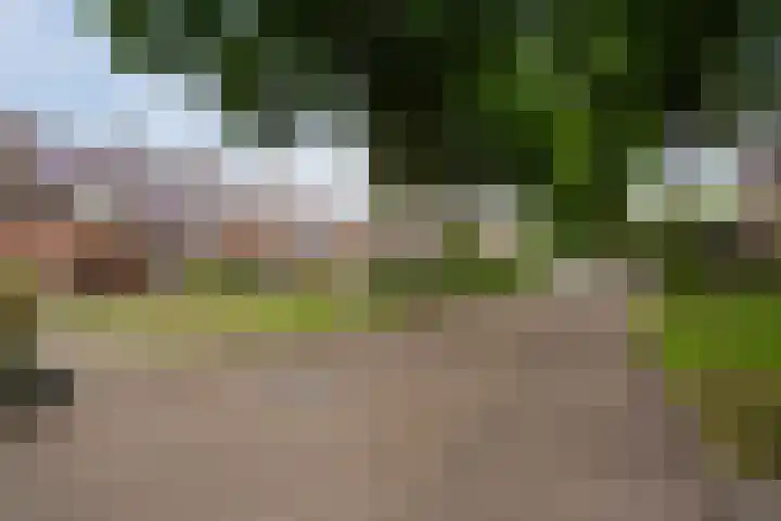Korfvlechterwei 38 Valkenswaard thumbnail 45