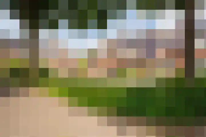 Korfvlechterwei 38 Valkenswaard thumbnail 5