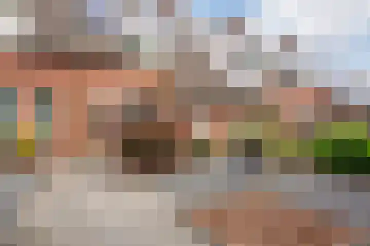 Korfvlechterwei 38 Valkenswaard thumbnail 6