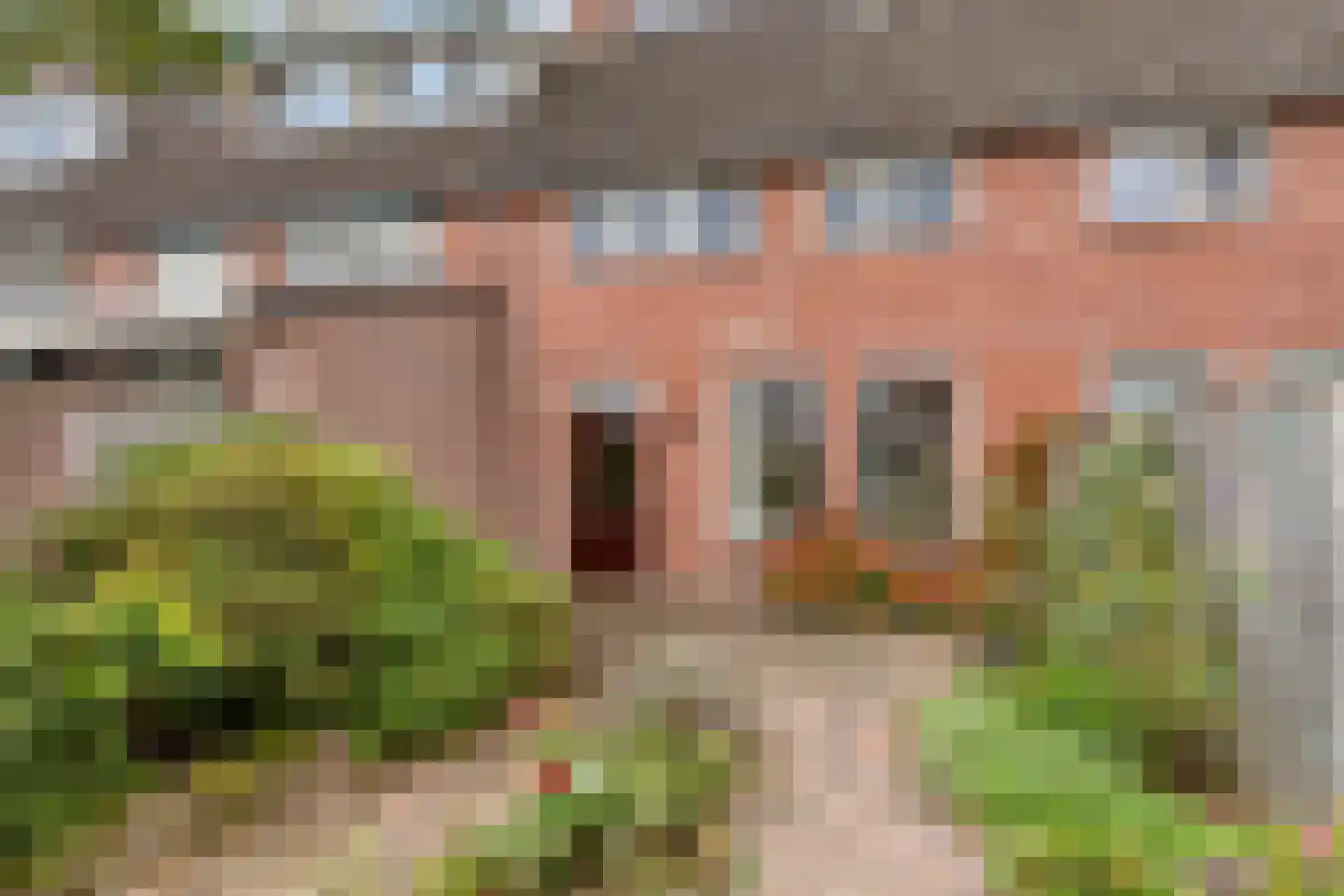 Korfvlechterwei 52 Valkenswaard thumbnail 20