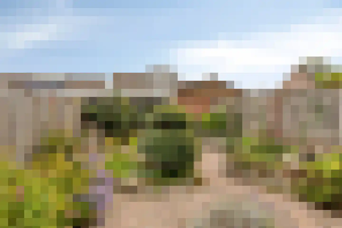 Korfvlechterwei 52 Valkenswaard thumbnail 4