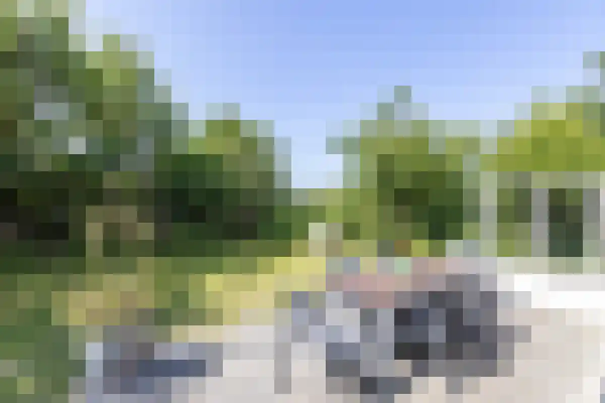 Korfwaterweg 18 Petten thumbnail 34