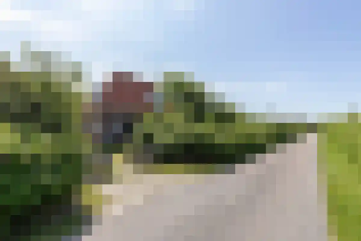 Korfwaterweg 18 Petten thumbnail 43