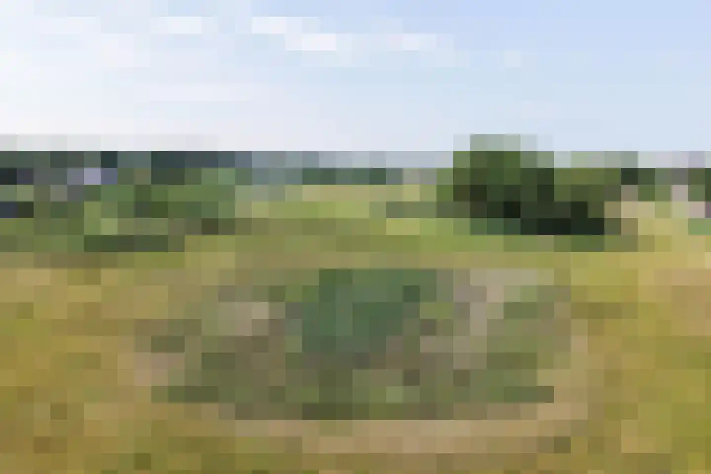 Korfwaterweg 18 Petten thumbnail 45