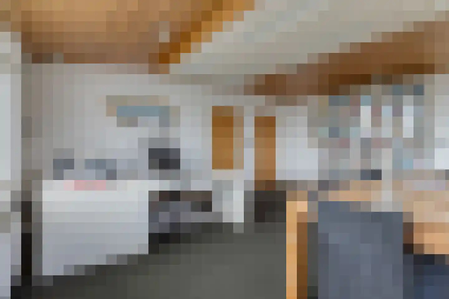 Korfwaterweg 2 Petten thumbnail 22