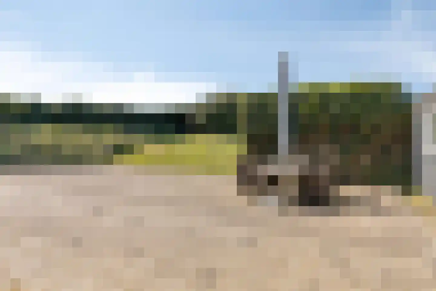 Korfwaterweg 2 Petten thumbnail 35