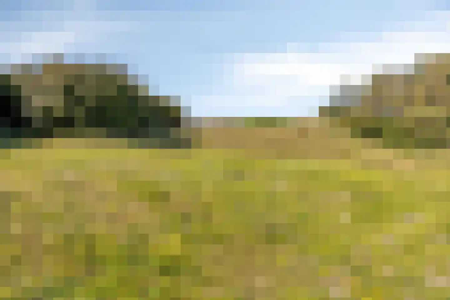 Korfwaterweg 2 Petten thumbnail 36