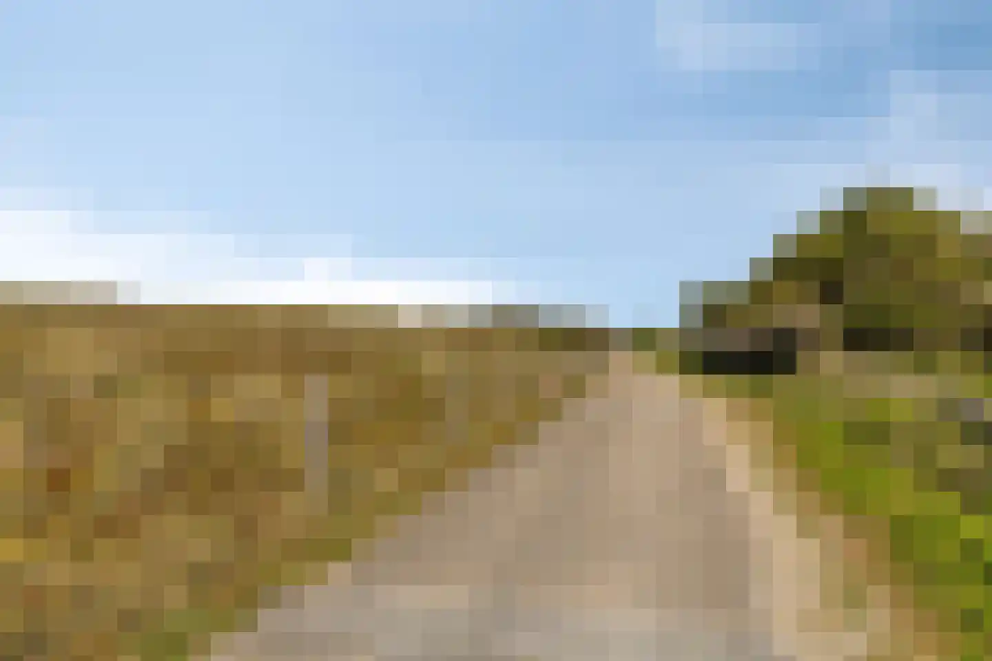 Korfwaterweg 2 Petten thumbnail 40