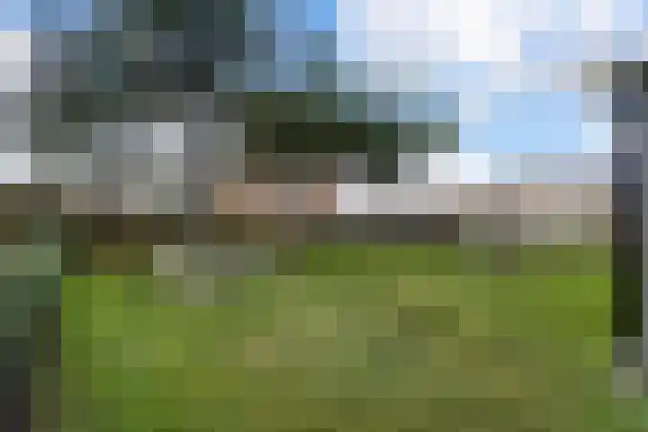 Korfwaterweg 47 Petten thumbnail 25
