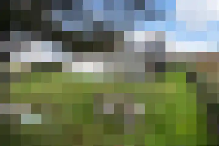 Korfwaterweg 47 Petten thumbnail 26