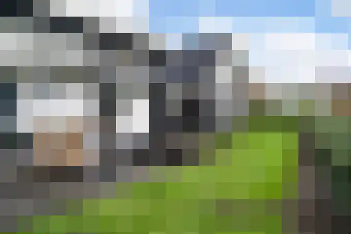 Korfwaterweg 47 Petten thumbnail 27