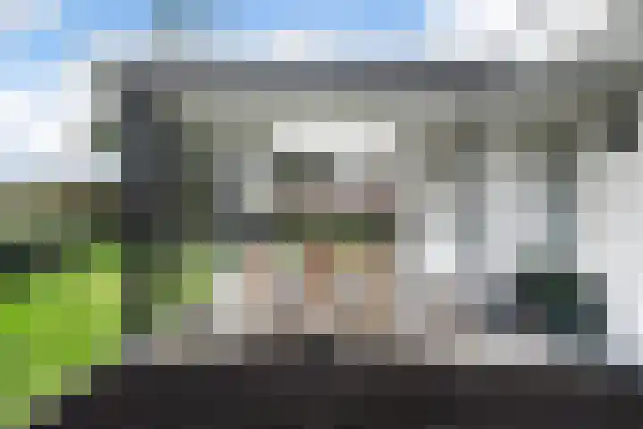 Korfwaterweg 47 Petten thumbnail 29