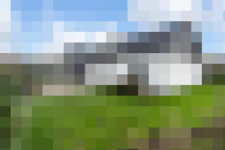 Korfwaterweg 47 Petten thumbnail 31