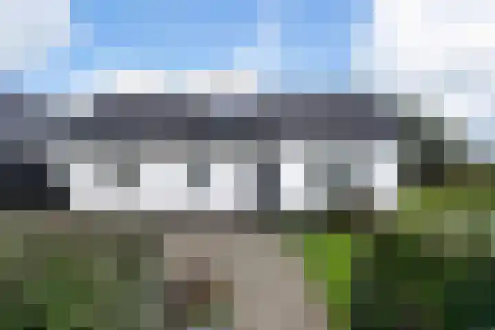 Korfwaterweg 47 Petten thumbnail 32