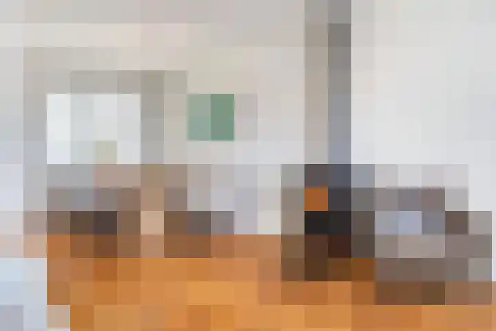 Korfwaterweg 47 Petten thumbnail 6