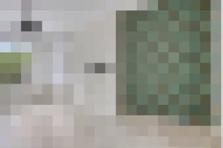 Korhaanstraat 1 C Rotterdam thumbnail 4